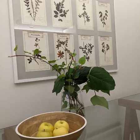 Magnifica * Vittorio Veneto